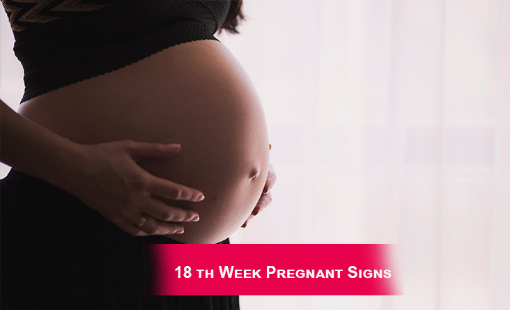 Pregnancy Week By Week - (Week 18)