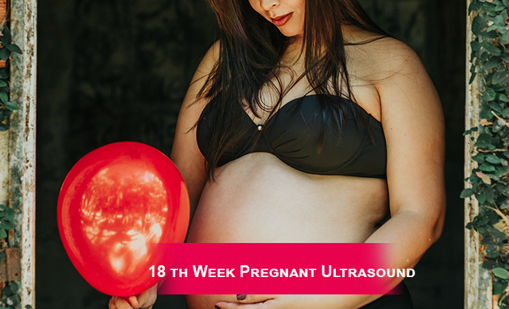 18th Week Pregnant Ultrasound