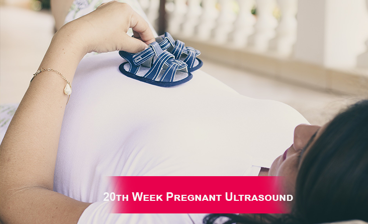 20th Week Pregnant Ultrasound
