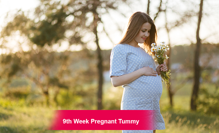 Week Pregnant Tummy