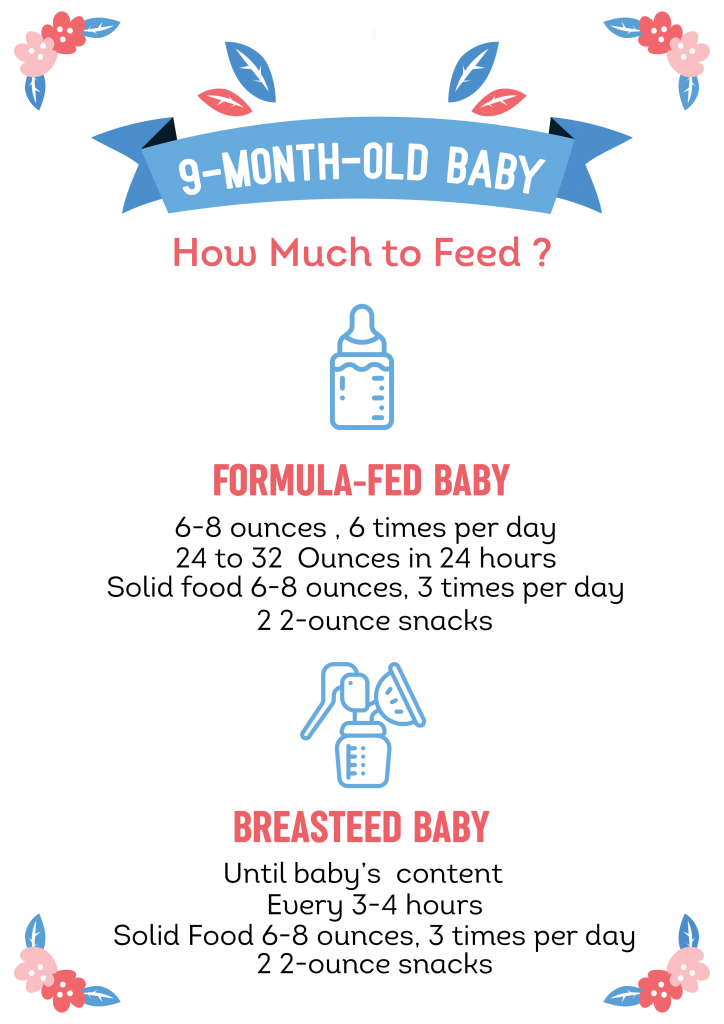 9 Month Old Feeding Schedule