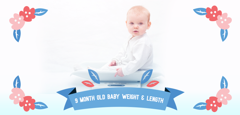 9_Month_Old_Baby_Weight_Length