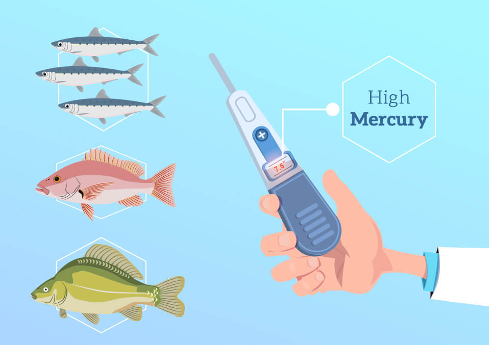 High Mercury Fish