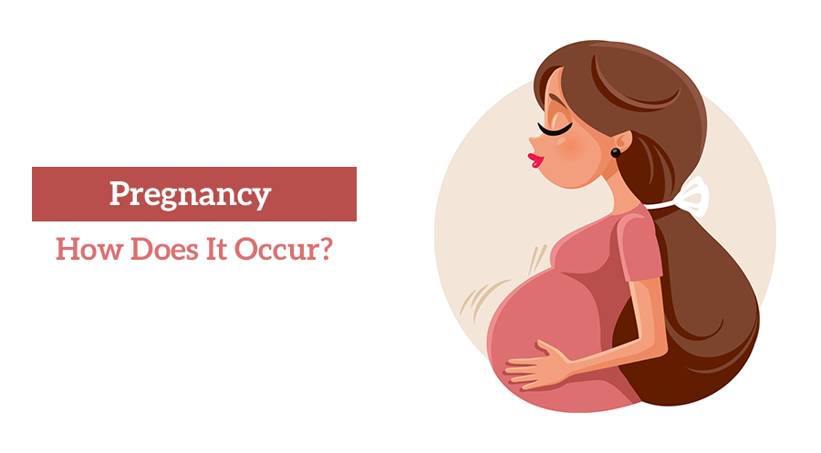 Pregnancy : How Does It Occur ?