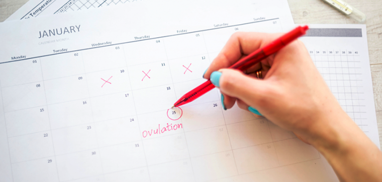 Understanding the Signs of Ovulation
