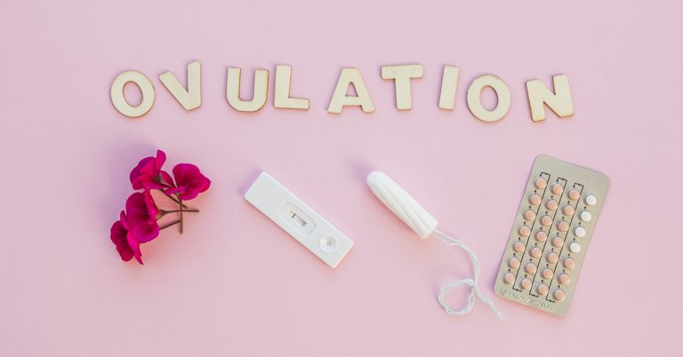 All You Need to Know About Ovulation and Fertility