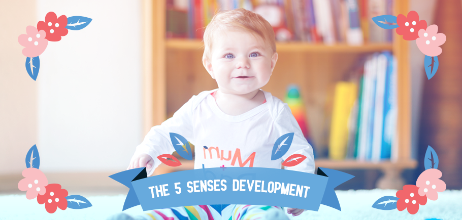 The_5_Senses_Development