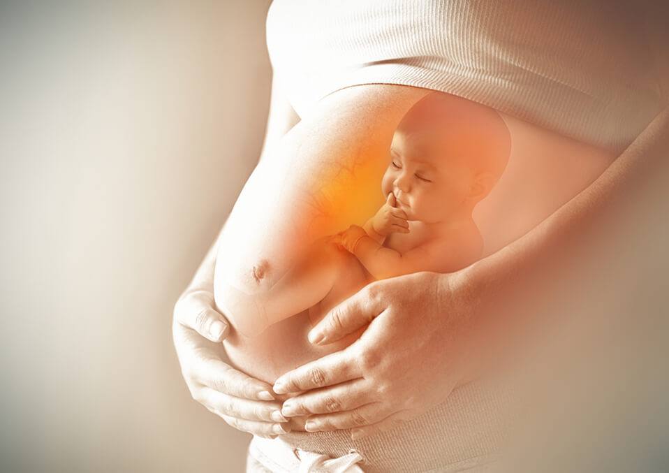 Find Out More About: Metabolic Adaptations in Pregnancy
