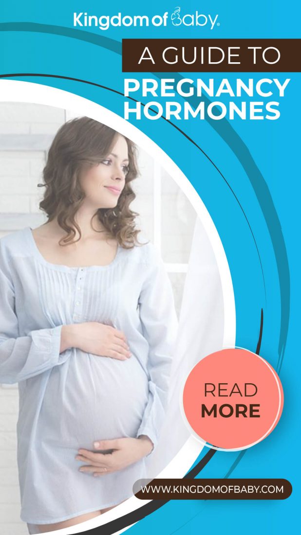 A Guide to Pregnancy Hormones