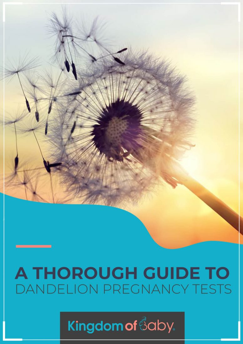 A Thorough Guide to Dandelion Pregnancy Tests