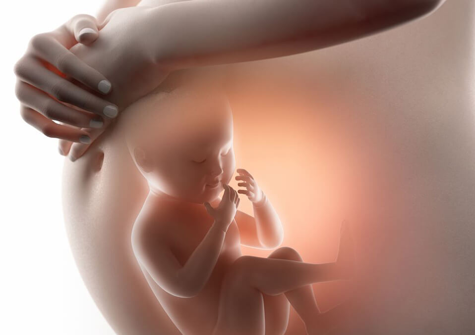 Baby Not Growing in the Womb How To Deal With It