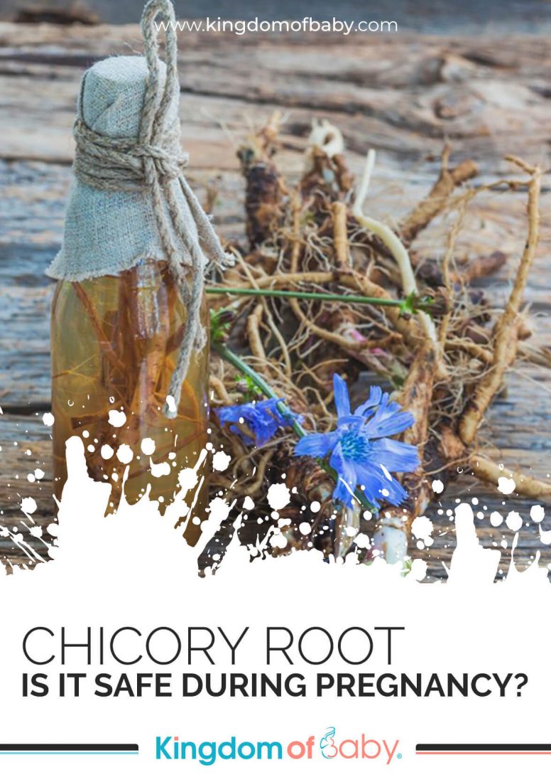 Chicory Root: Is it Safe During Pregnancy?