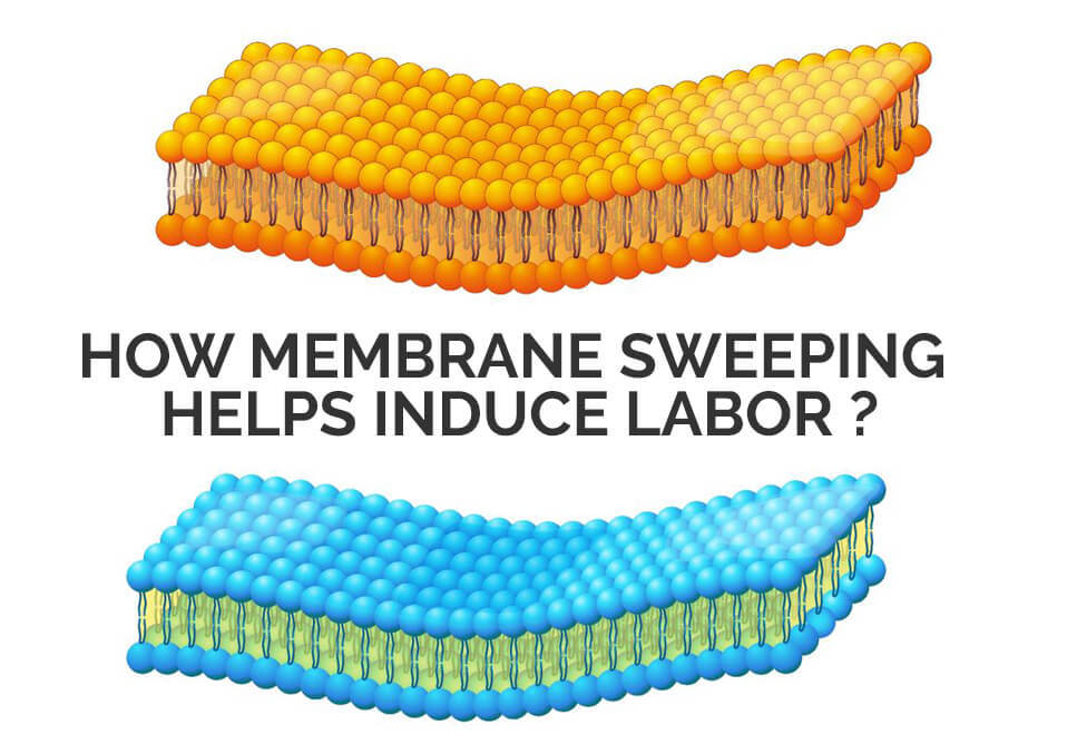 How Membrane Sweeping Helps Induce Labor?