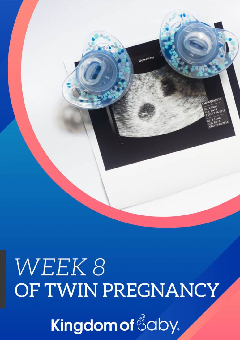 Week 8 of Twin Pregnancy
