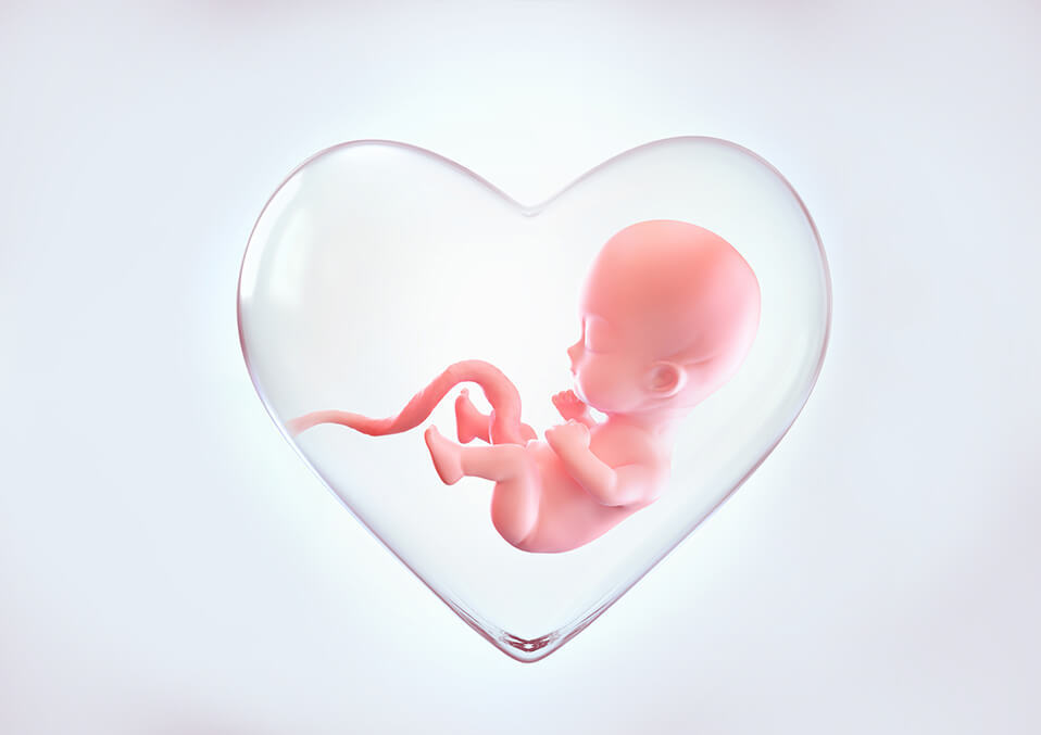 What Is Fetal Growth Reduction?