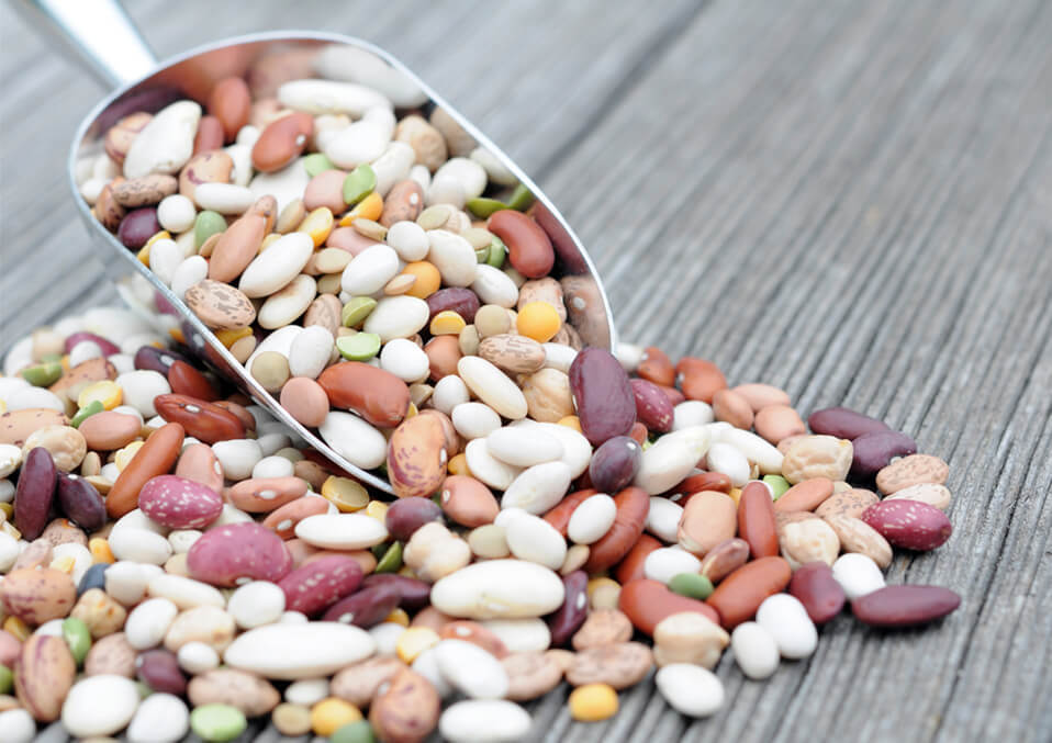 Introducing Dried Beans To Toddlers
