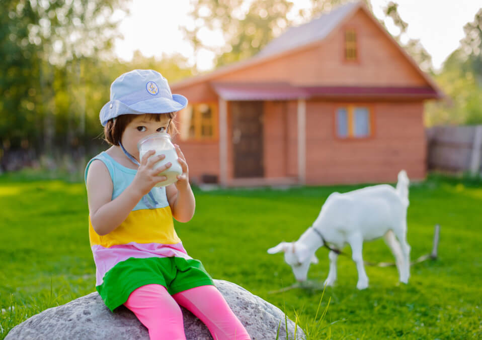 Why Goat’s Milk for Toddlers Is a Safer and Better Choice?