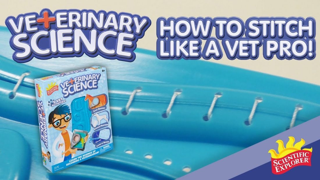 Alex Toys Scientific Explorer Bee-ology Science Kids Experiment Kit for sale online