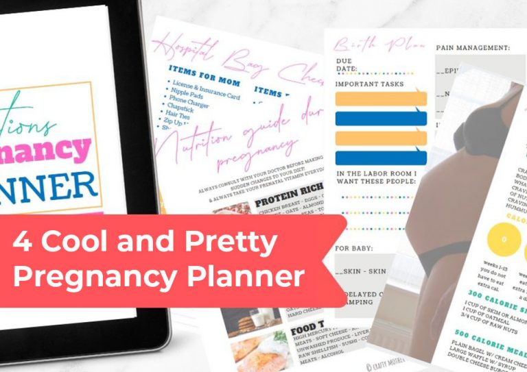 4 Cool and Pretty Pregnancy Planner with a Water Color Design