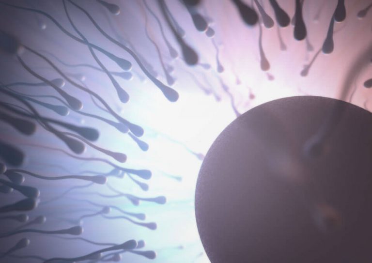 Sperm Survival: How Long Does it Take Sperm to Reach the Cervix?