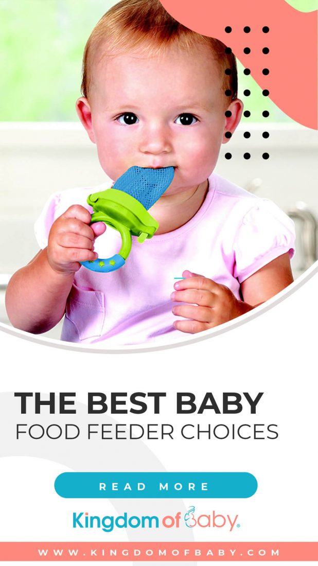 The Best Baby Food Feeder Choices