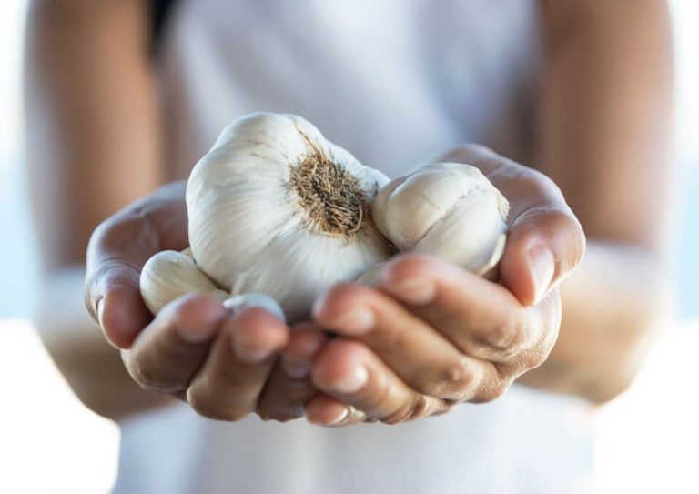 Is it Safe to Eat Garlic while Breastfeeding?