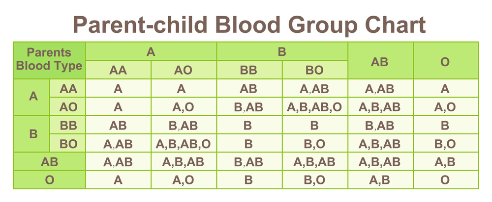 Inheriting Blood Types from Parents, which parent determines the blood type of the child?