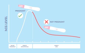 how soon can pregnancy be detected