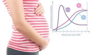 non-viable pregnancy hcg levels